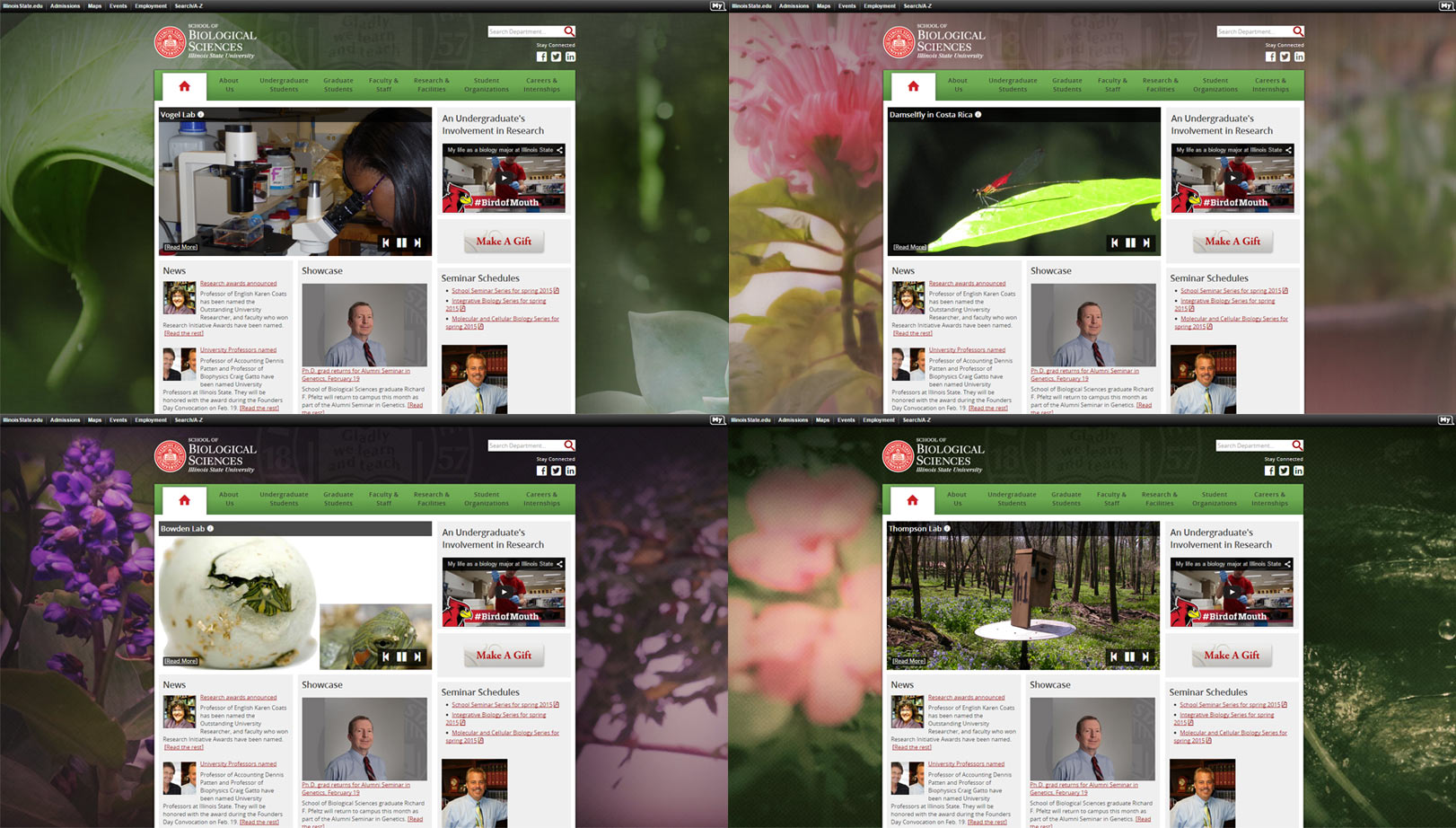 Bio Background